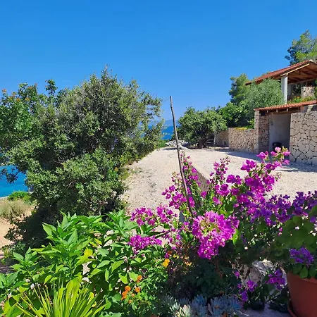Robinson Crusoe House * Zastražišće