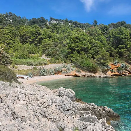 Dom wakacyjny Robinson Crusoe House *